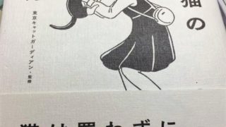 野良猫の拾い方