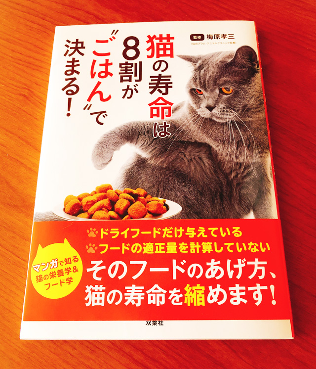 猫の寿命は8割がごはんで決まる！