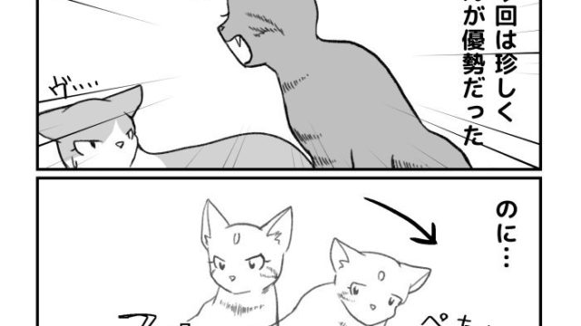 猫の4コマ漫画