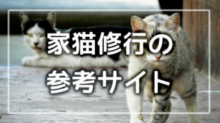 家猫修行のサムネ